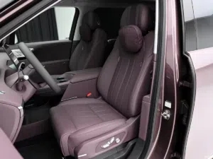 Một mẫu xe Trung Quốc nhận 25.000 đơn h&agrave;ng sau nửa ng&agrave;y mở b&aacute;n- Ảnh 4.