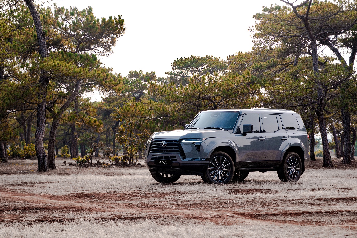 Phía sau vô lăng Lexus GX: Từ quen ngồi ghế sau lại muốn tự lái không ngừng - Ảnh 3. Phía sau vô lăng Lexus GX: Từ quen ngồi ghế sau lại muốn tự lái không ngừng - Ảnh 3.