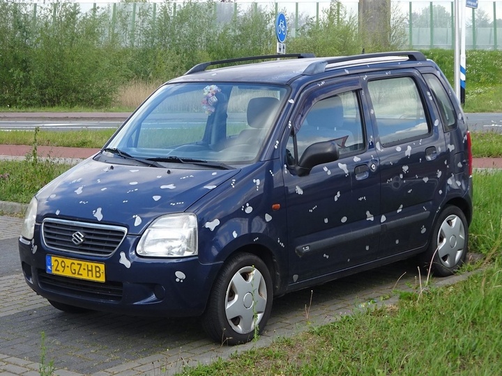 Xe &ocirc; t&ocirc; Suzuki đời 2001 c&oacute; d&ugrave;ng được xăng E10?- Ảnh 1.