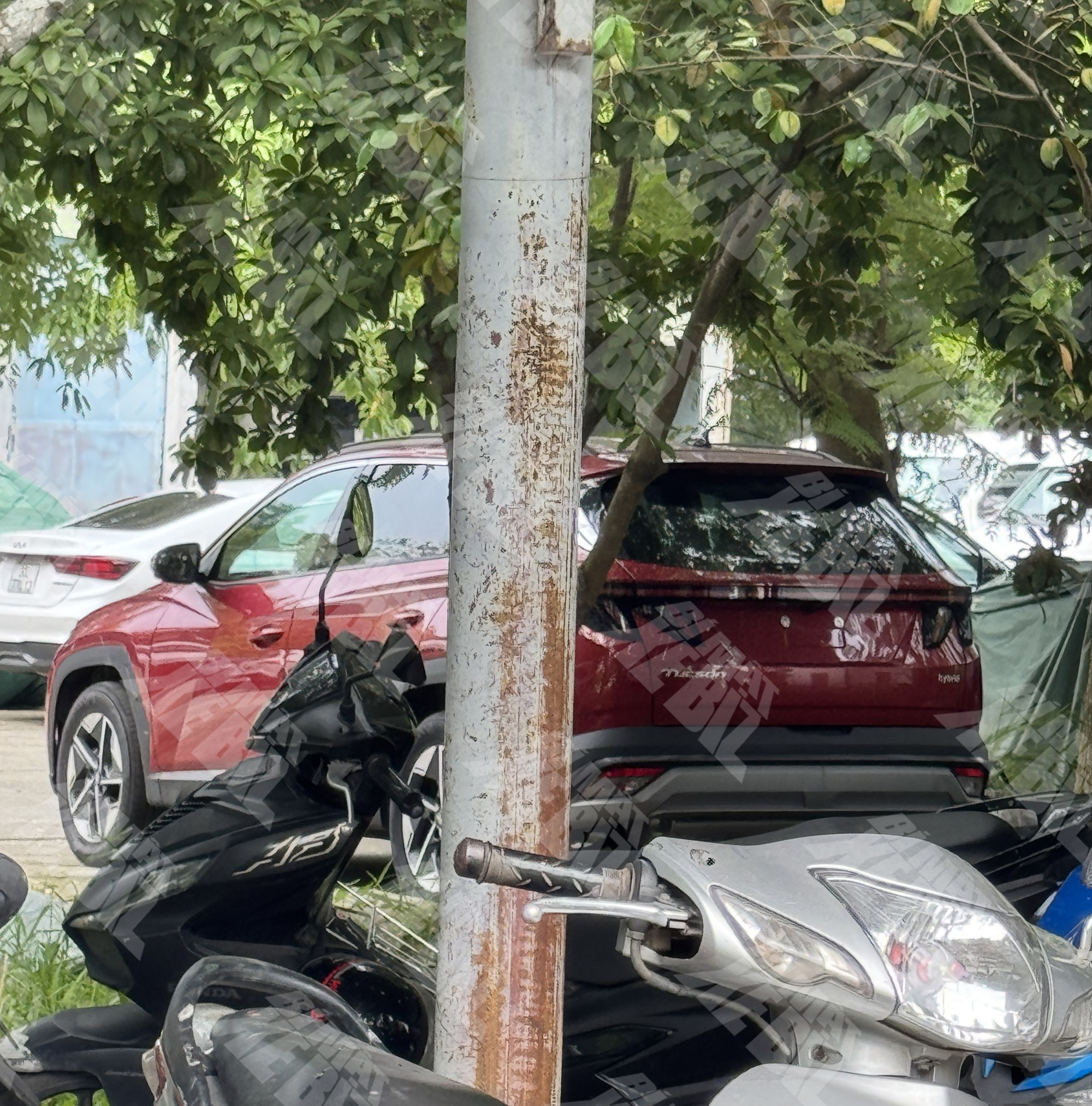 Hyundai Tucson hybrid lần đầu lộ diện tại Việt Nam: Thiết kế giống bản xăng tầm trung, th&ecirc;m chi tiết nhận diện nhỏ ph&iacute;a sau, gi&aacute; dự kiến tiệm cận Santa Fe- Ảnh 1.