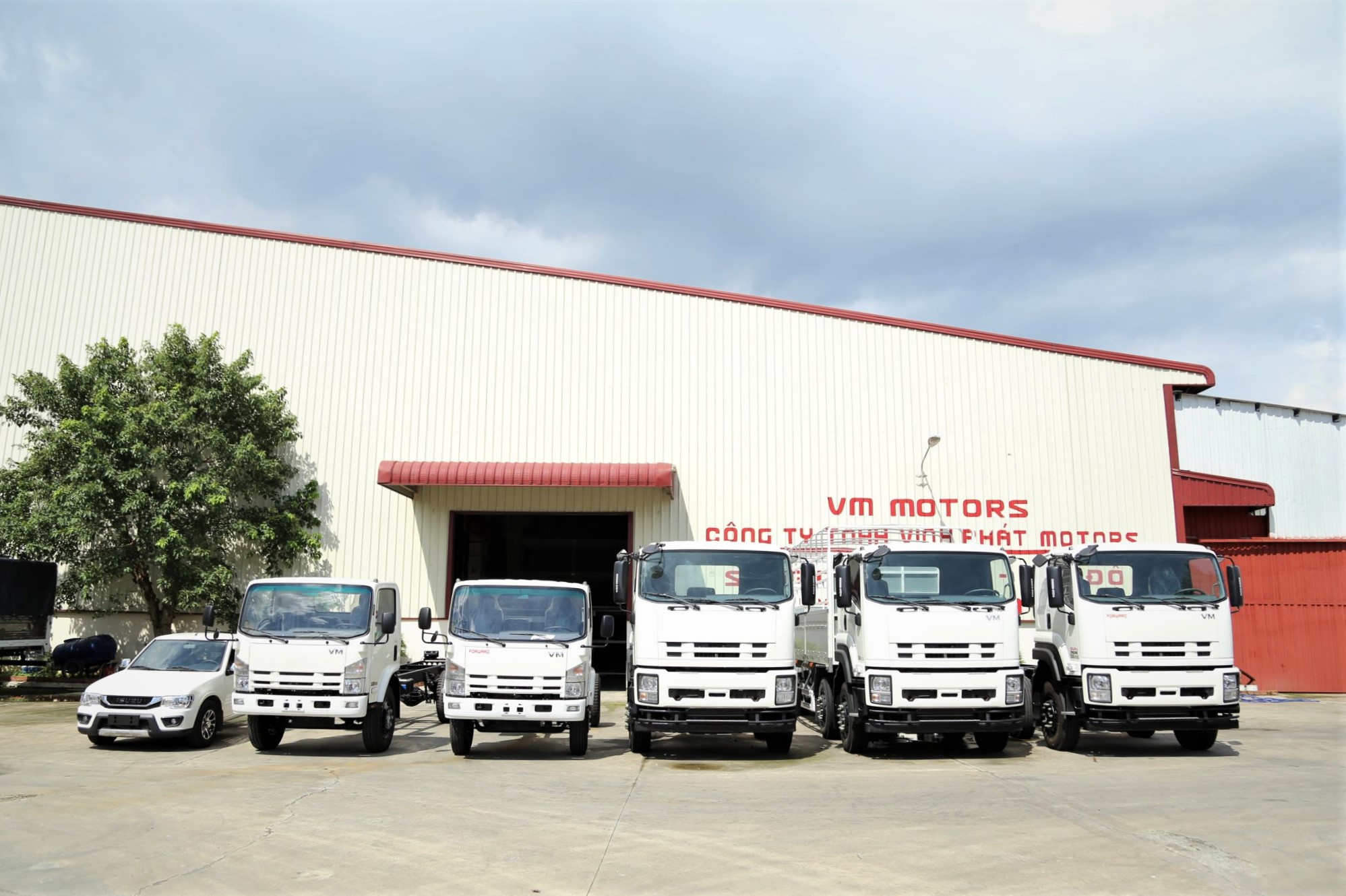 Tasco Auto mua Vĩnh Phát, sẽ có xe điện đầu tiên từ năm sau - Ảnh 1.