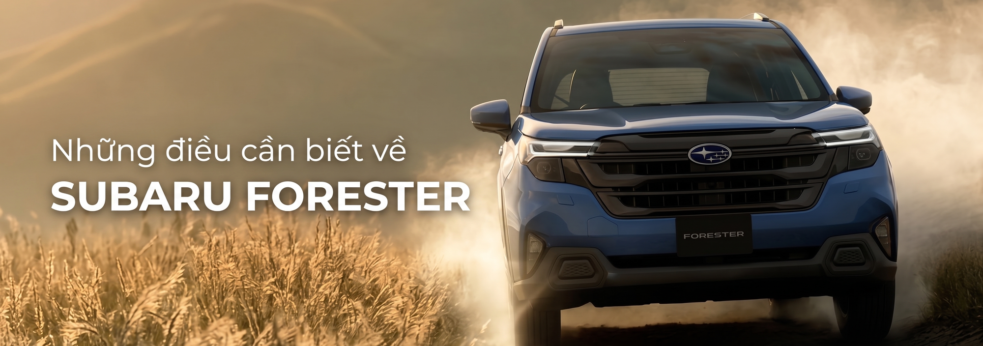 Subaru Forester đời cũ vẫn chưa 'xả' hết hàng dù giảm giá hàng trăm triệu, đời mới đã bán được gần 1 năm - Ảnh 6.