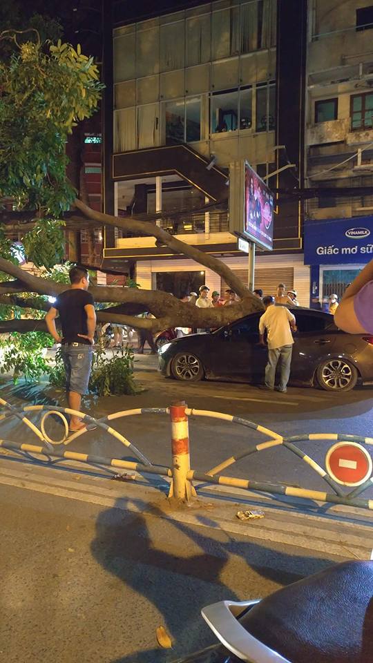 Sài Gòn: Cây xà cừ bật gốc, đè trúng nóc Mazda2 Sedan chạy ngang qua - Ảnh 2.