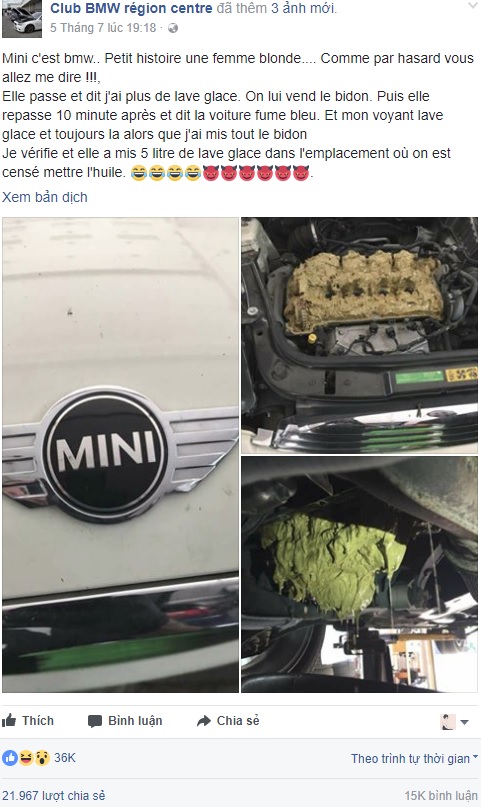 Người phụ nữ bị gọi là tóc vàng hoe vì đổ dung dịch rửa kính chắn gió vào động cơ xe Mini - Ảnh 1.