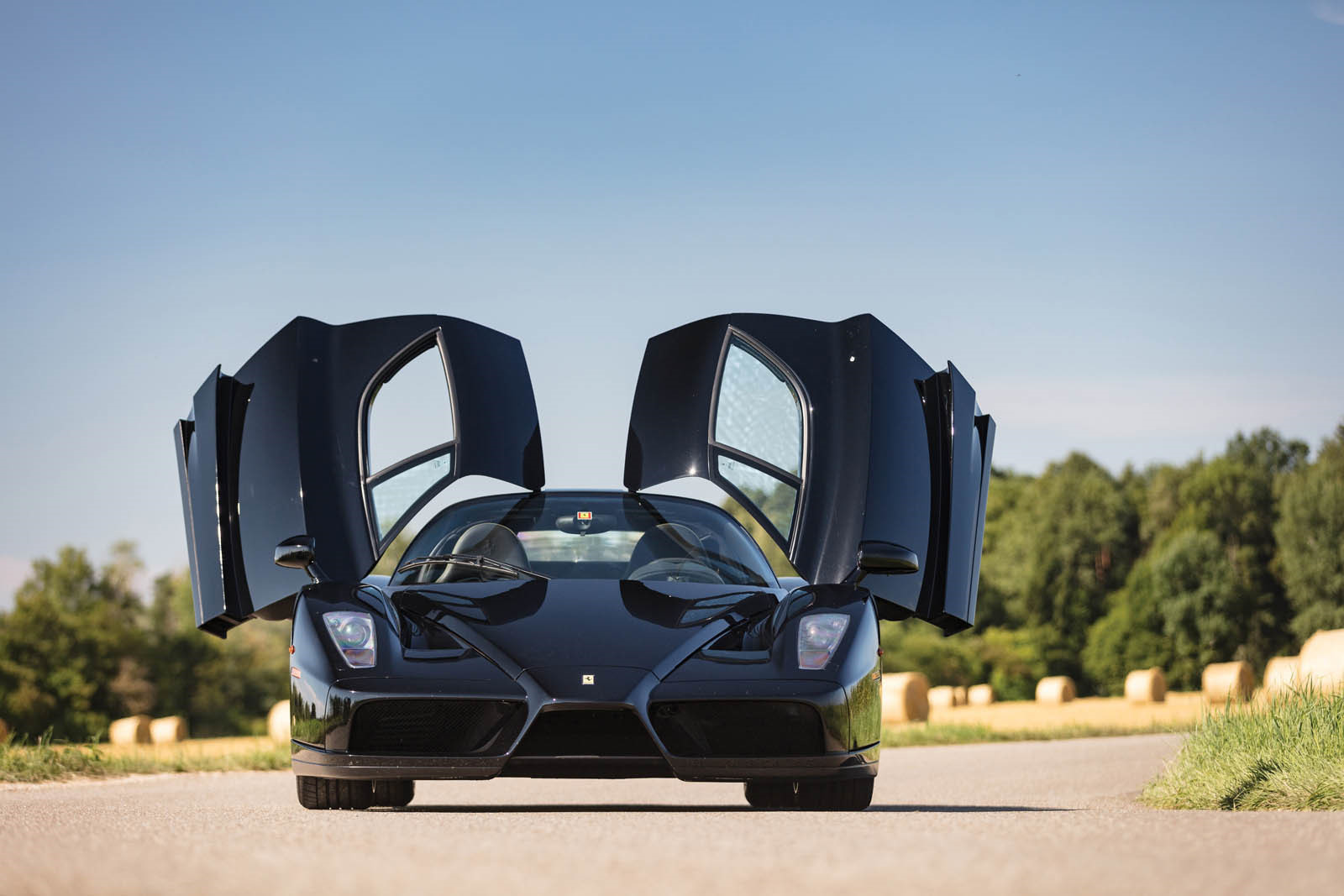 Ferrari Enzo Black