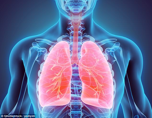 Thành phần chết người trong khói xe có thể đâm xuyên phổi để vào máu, tồn tại trong cơ thể ít nhất 3 tháng - Ảnh 1.