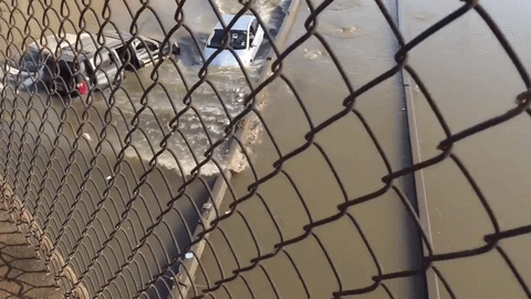 Chẳng ngán đường ngập, Toyota Prius lội nước như tàu ngầm - Ảnh 2.