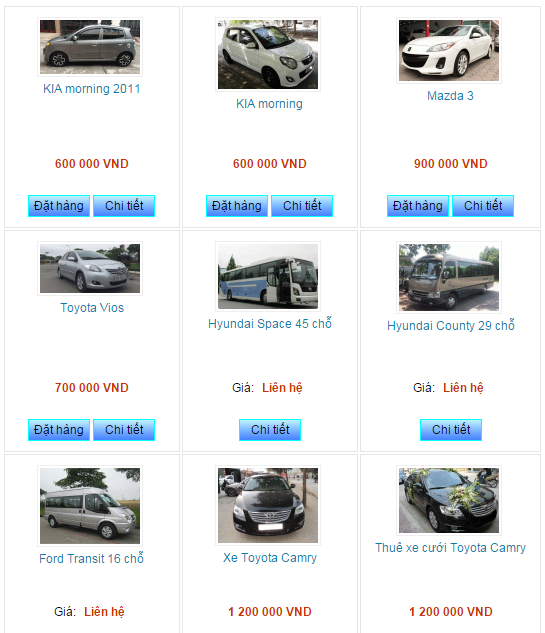 Sôi động thị trường cho thuê xe tự lái trên mạng dịp Tết - Ảnh 4.
