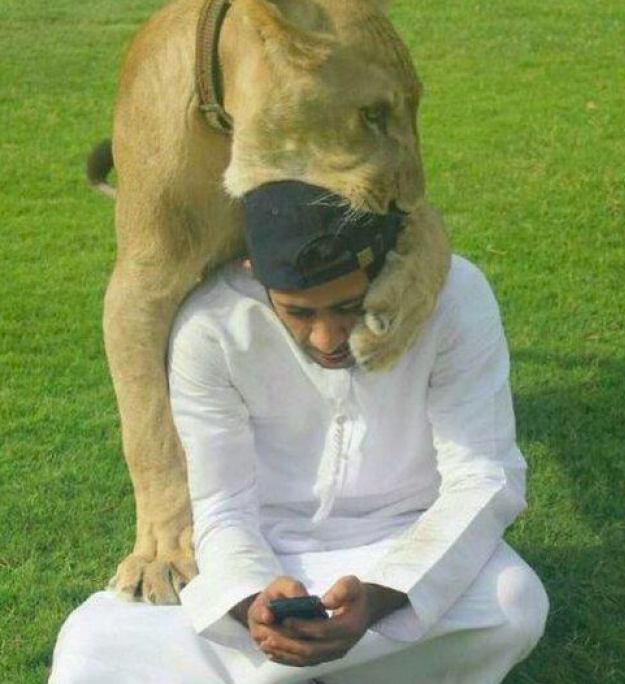 Những bức ảnh lột tả sự xa hoa tột độ tại Dubai: Kem vàng, nuôi hổ làm thú cưng hay siêu xe hạng sang - Ảnh 7.