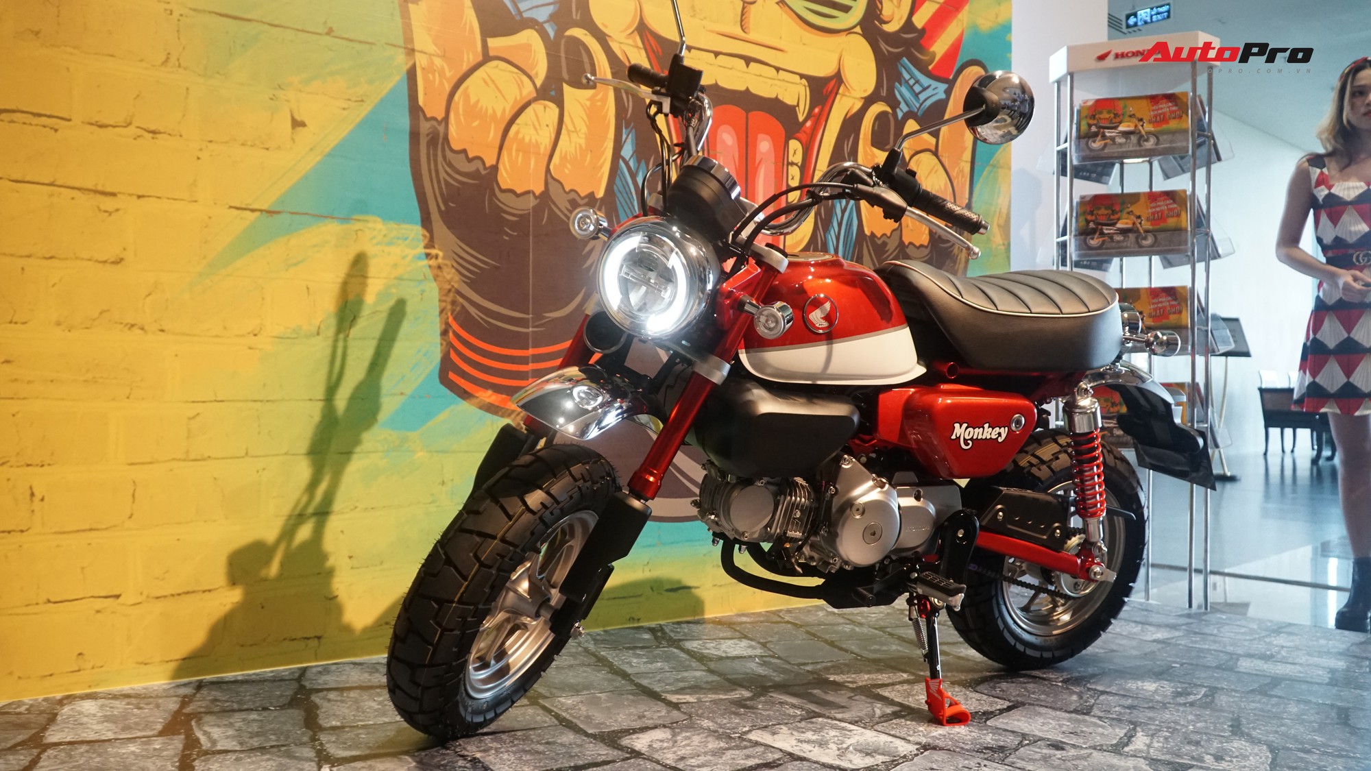 Xe khỉ Honda Monkey 2019 chốt giá 3380 USD  Xe máy