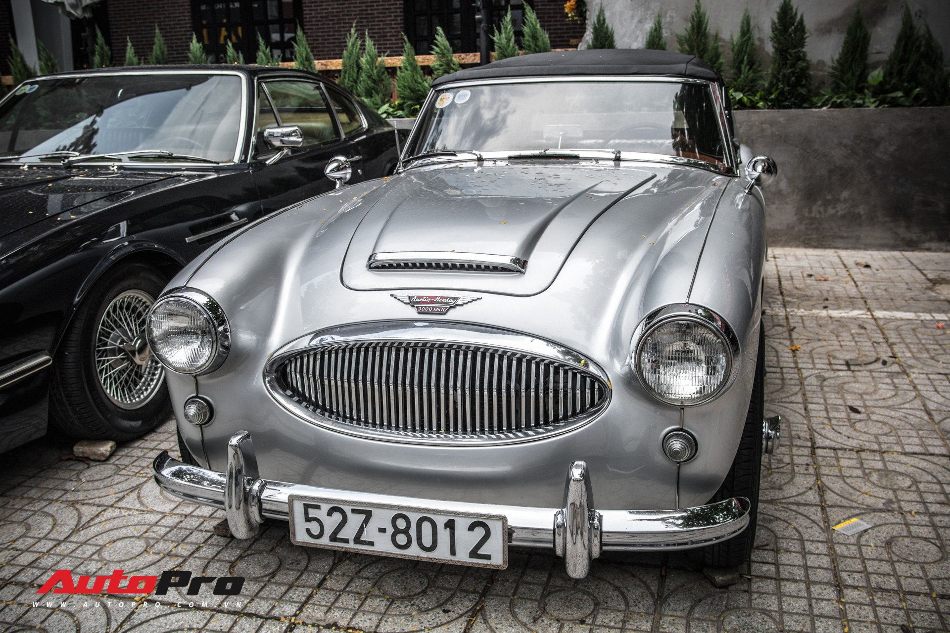Rare Austin-Healey 3000 Mk II 55-year-old of Saigon car enthusiasts - Photo 2. Rare Austin-Healey 3000 Mk II 55-year-old of Saigon car enthusiasts - Photo 2.