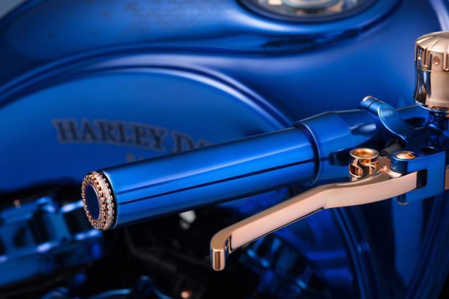 Chiêm ngưỡng chiếc Harley-Davidson được mạ vàng, nạm kim cương có giá đắt nhất thế giới - Ảnh 3.