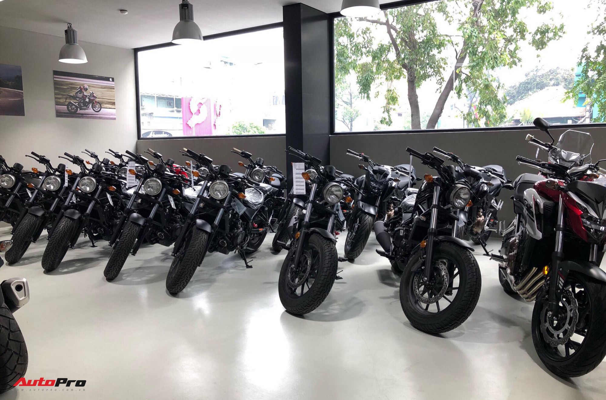 Motorrock trưng bày đa dạng sản phẩm moto Honda hàng nhập khẩu chính hãng  giá rẻ
