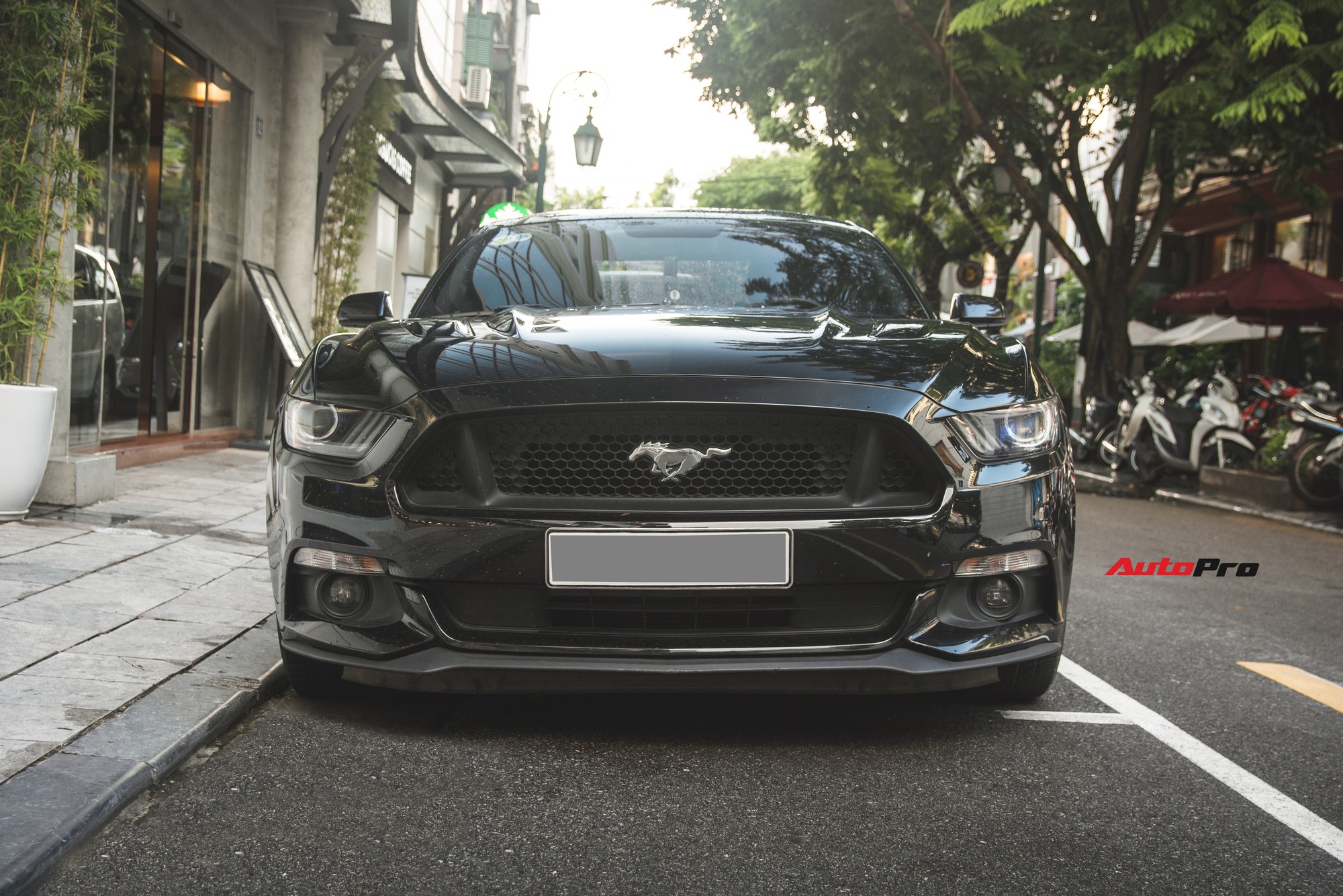 Ford Mustang GT 2017 - chiếc xe hơi hạng sang đến từ Mỹ, với thiết kế tuyệt đẹp, cùng với động cơ mạnh mẽ, đắt giá sẽ khiến bạn phải say đắm. Hãy xem hình ảnh liên quan để khám phá những tính năng nổi bật của chiếc xe đẳng cấp này và cảm nhận sự thú vị khi ngắm nhìn nó.