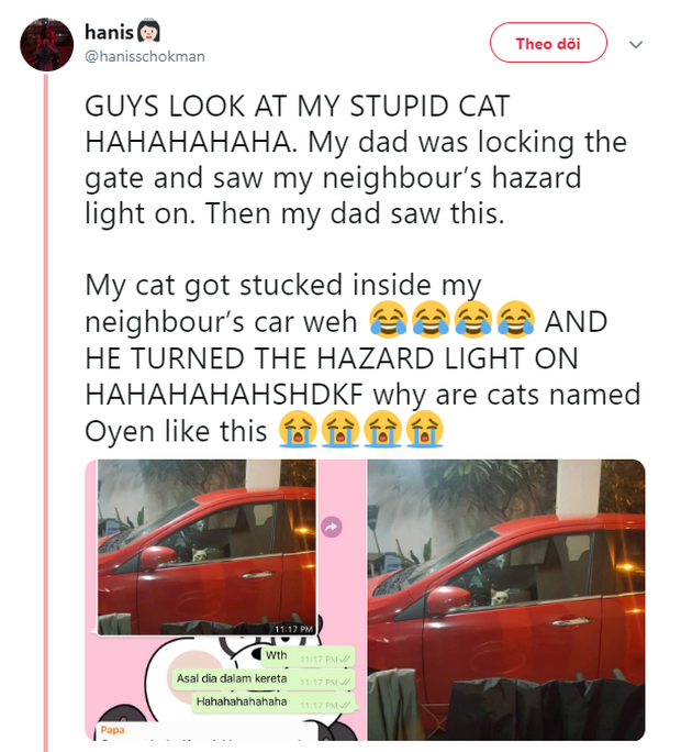 Bị mắc kẹt trong xe ô tô nhà hàng xóm, boss mèo nhanh trí bật đèn xi nhan lên để kêu sen đến cứu giá - Ảnh 1.