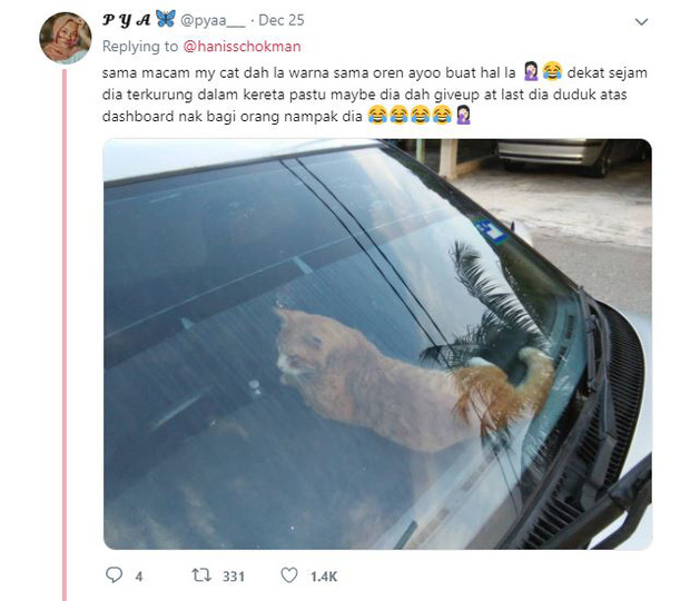 Bị mắc kẹt trong xe ô tô nhà hàng xóm, boss mèo nhanh trí bật đèn xi nhan lên để kêu sen đến cứu giá - Ảnh 4.