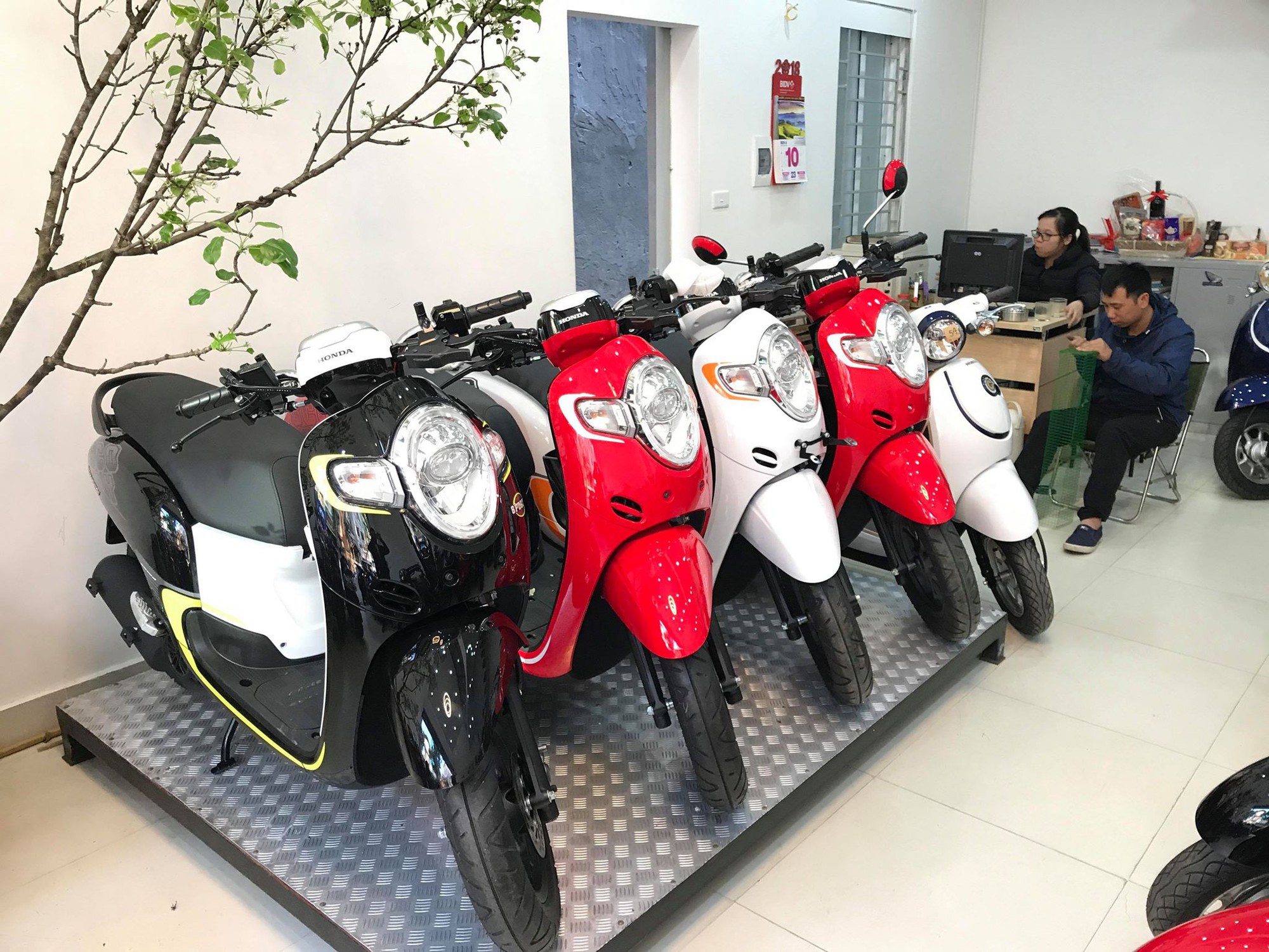4 mẫu xe tay ga Honda nhập khẩu vừa gia nhập thị trường Việt Nam