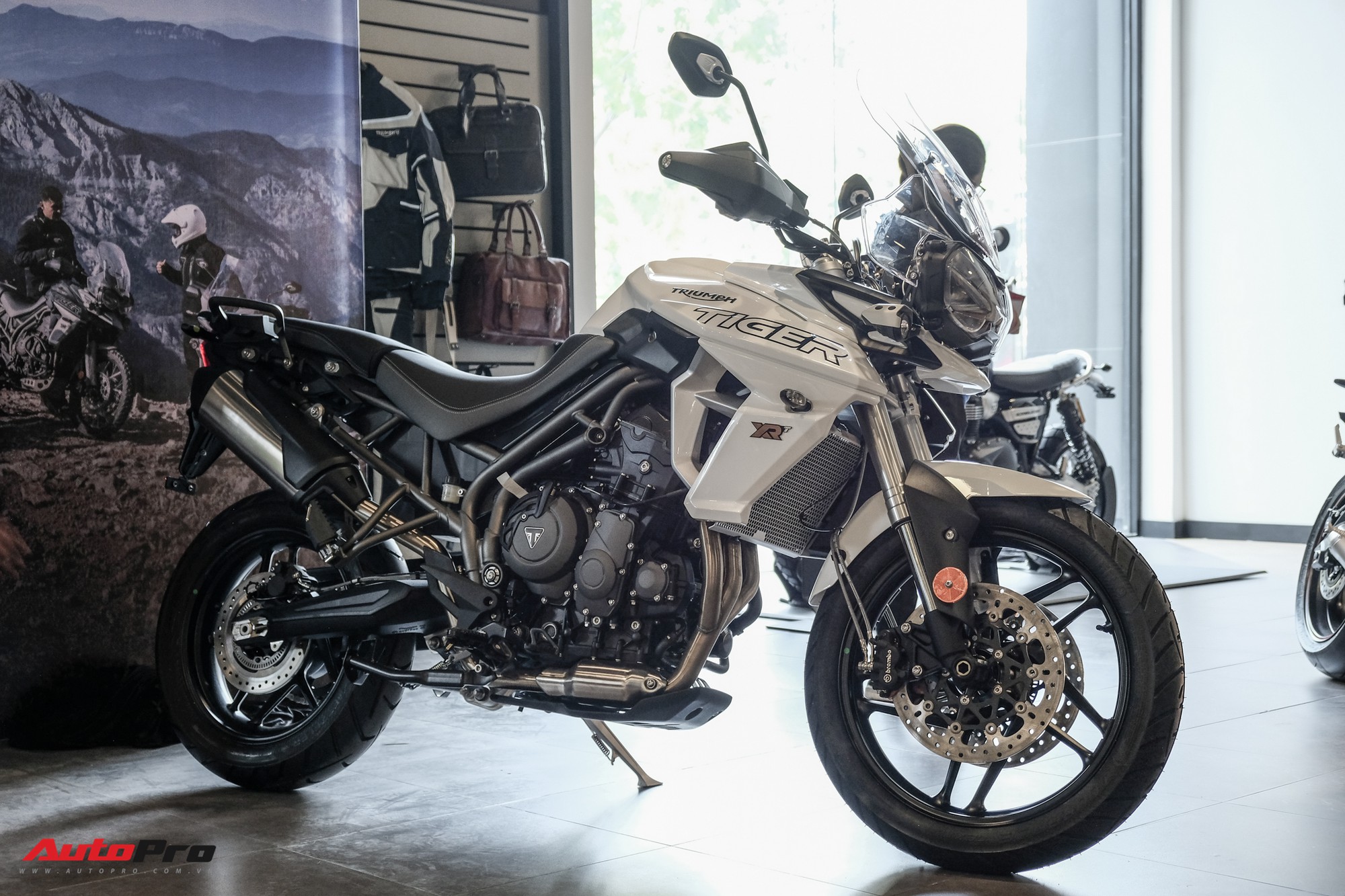 f750gs vs tiger 800