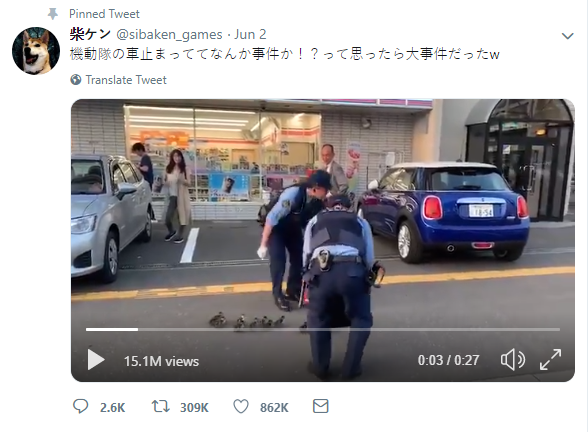 Chỉ có ở Nhật Bản: Mẹ con nhà vịt được cảnh sát hộ tống sang đường, thu hút đến 15 triệu lượt xem trên MXH - Ảnh 2.