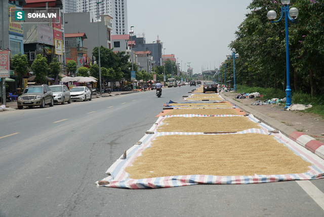 Cận cảnh đường dẫn lên cây cầu đẹp nhất Việt Nam bị người dân Hà Nội hô biến thành nơi phơi thóc - Ảnh 2.