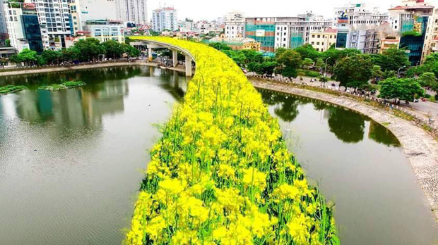 Đường sắt Cát Linh - Hà Đông bỗng hóa hoa vàng trên cỏ xanh qua bàn tay photoshop, thêm loạt lựa chọn bất ngờ được dân mạng ủng hộ rào rào - Ảnh 2.