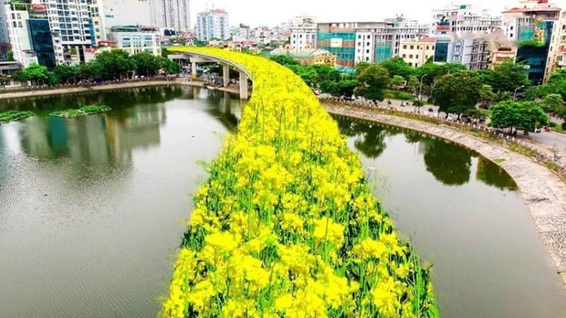 Đường sắt Cát Linh - Hà Đông bỗng hóa hoa vàng trên cỏ xanh qua bàn tay photoshop, thêm loạt lựa chọn bất ngờ được dân mạng ủng hộ rào rào - Ảnh 2. Đường sắt Cát Linh - Hà Đông bỗng hóa hoa vàng trên cỏ xanh qua bàn tay photoshop, thêm loạt lựa chọn bất ngờ được dân mạng ủng hộ rào rào - Ảnh 2.