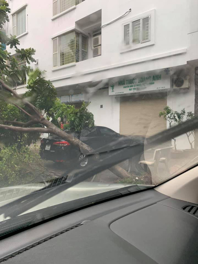 Hà Nội mưa lớn, nhiều ô tô bị cây đè bẹp - Ảnh 2.