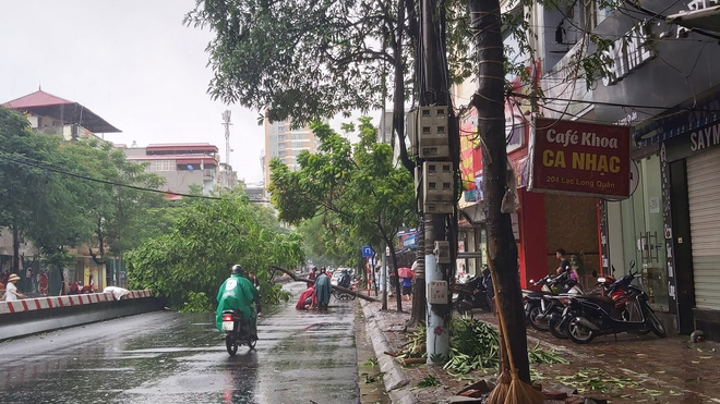 Hà Nội mưa lớn, nhiều ô tô bị cây đè bẹp - Ảnh 3.