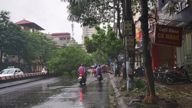 Hà Nội mưa lớn, nhiều ô tô bị cây đè bẹp - Ảnh 4.