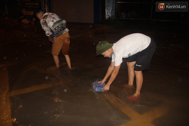 Người Hà Nội mang rổ ra giữa đường phố bắt hàng kg cá trong đêm mưa gió - Ảnh 3.