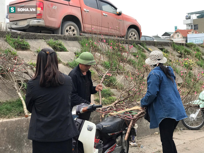 Tài xế nghỉ làm đi chở thuê cây cảnh ngày cận Tết kiếm tiền triệu mỗi ngày - Ảnh 3. Tài xế nghỉ làm đi chở thuê cây cảnh ngày cận Tết kiếm tiền triệu mỗi ngày - Ảnh 3.