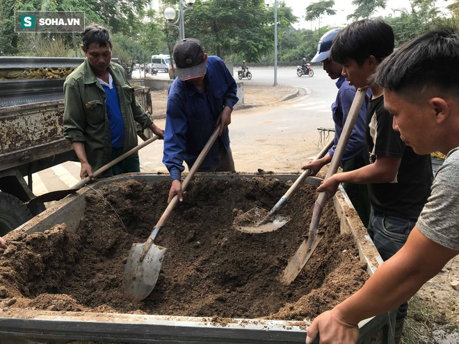 Tài xế nghỉ làm đi chở thuê cây cảnh ngày cận Tết kiếm tiền triệu mỗi ngày - Ảnh 4. Tài xế nghỉ làm đi chở thuê cây cảnh ngày cận Tết kiếm tiền triệu mỗi ngày - Ảnh 4.