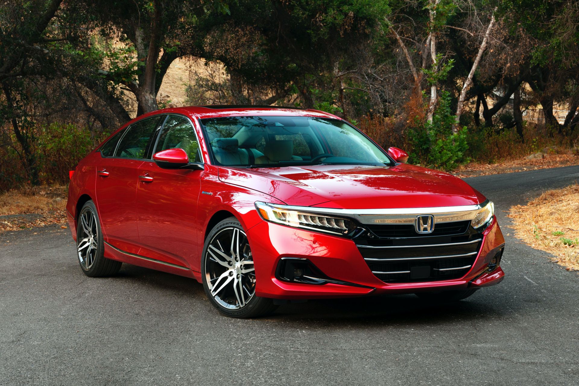 New Honda Accord revealed but in doubt for Oz  carsalescomau