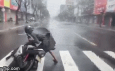 Gió bão quật muốn nhấc người, nam thanh niên gồng mình dắt xe vào lề đường ở Đà Nẵng - Ảnh 1.