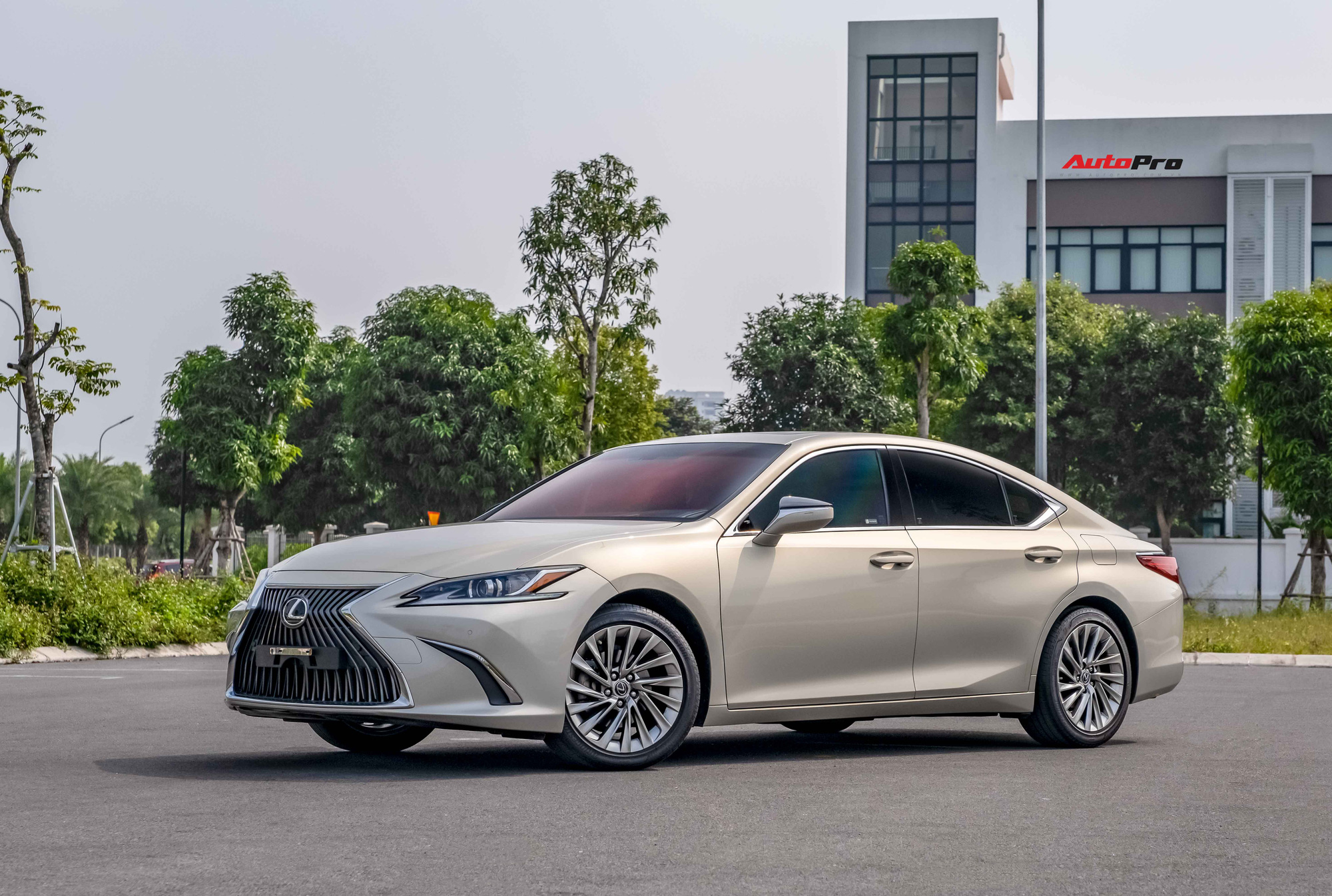  Lexus triệu hồi 1.334 xe tại Việt Nam do lỗi bơm nhiên liệu  - Ảnh 1.