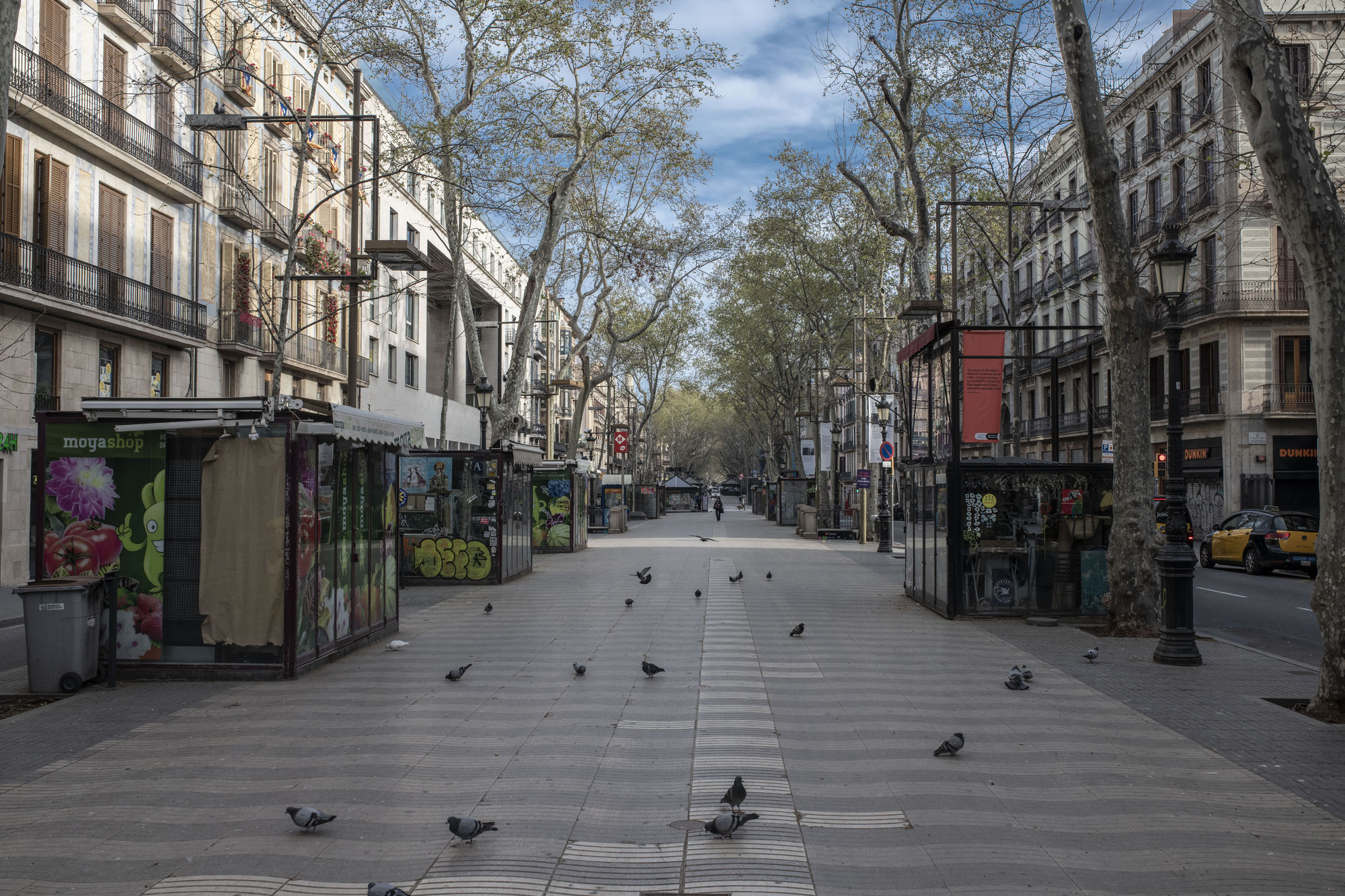 TRỐNG               VẮNG - Ảnh 9.