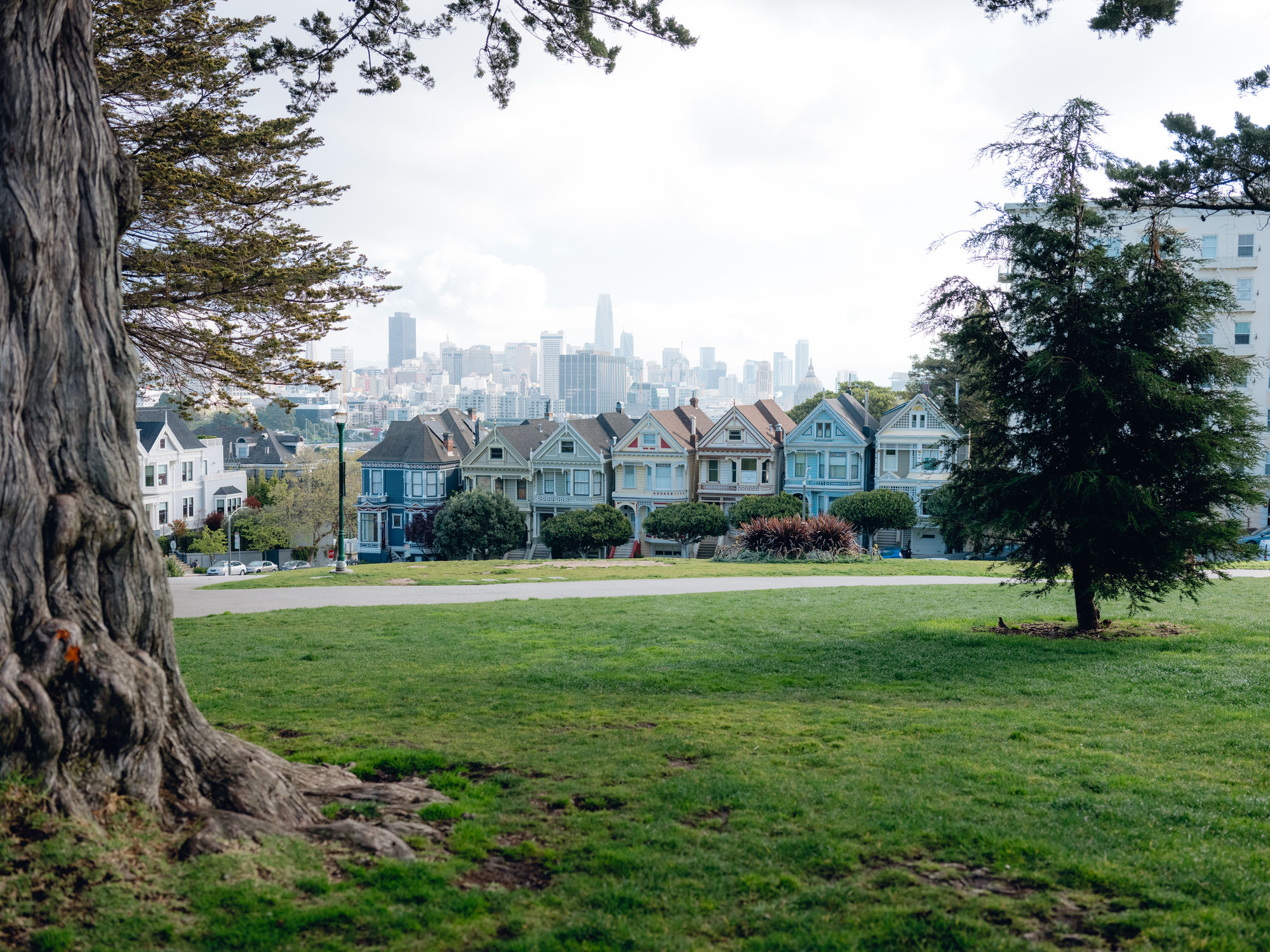 TRỐNG               VẮNG - Ảnh 20.