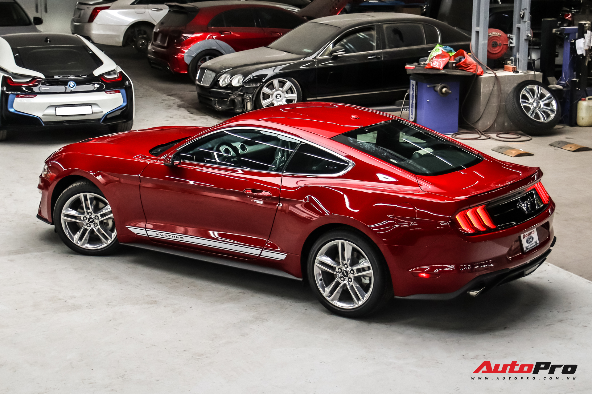 Ред 2020. Ford Mustang 2020 Red. Мустанг 2020 красный. Додж Мустанг 2020. Ford Mustang 2020 Red Vertical.