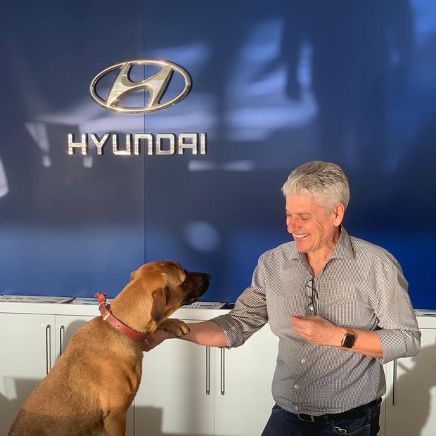 Showroom Hyundai nhận chó hoang vào làm việc, bao ăn ở và thăng chức 2 lần trong 3 tháng - Ảnh 5.
