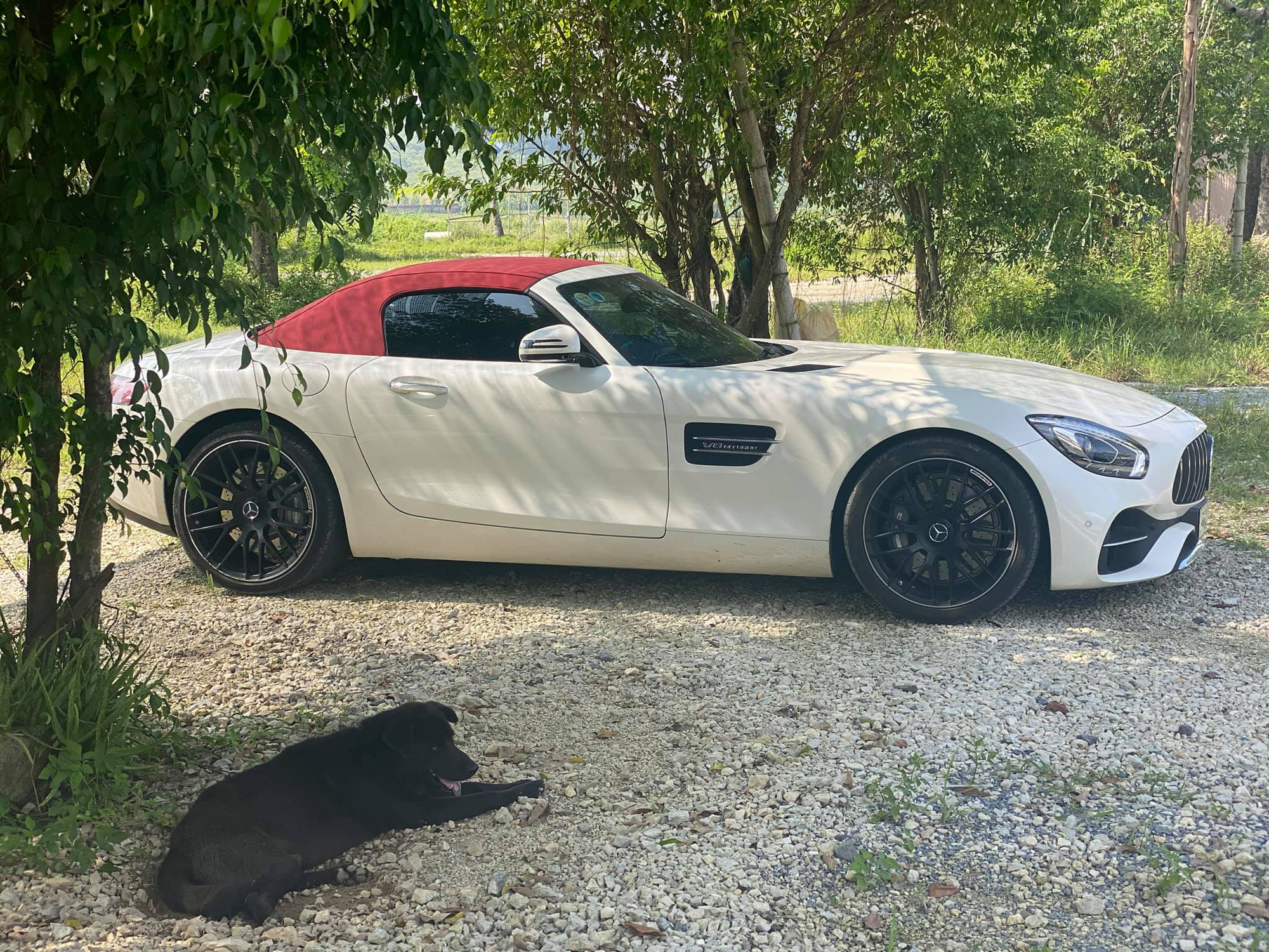 Doanh nhân Hà Nội chia tay hàng hiếm Mercedes-AMG GT Roadster - Ảnh 5.