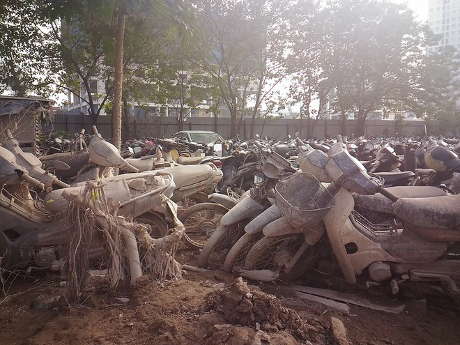 Nghĩa địa xe ở Hà Nội: Hàng nghìn chiếc chất lên nhau như sắt vụn, không biết bao giờ mới được thanh lý - Ảnh 5.