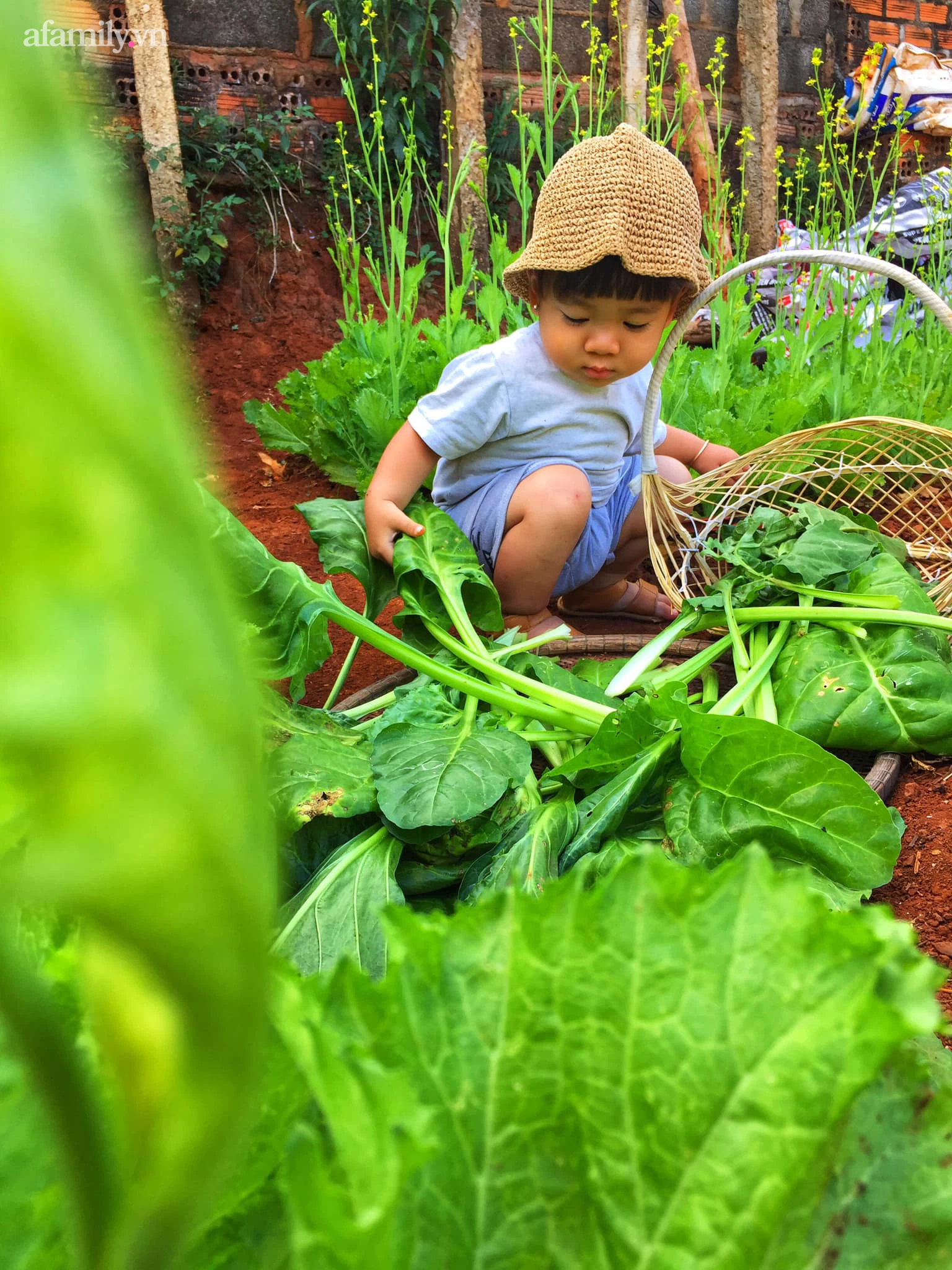 Cặp vợ chồng chịu chơi nhất Việt Nam: Cải tạo ô tô cũ thành nhà đưa con 8 tháng đi phượt từ Bắc chí Nam, quan điểm dạy con càng đáng ngưỡng mộ - Ảnh 19.