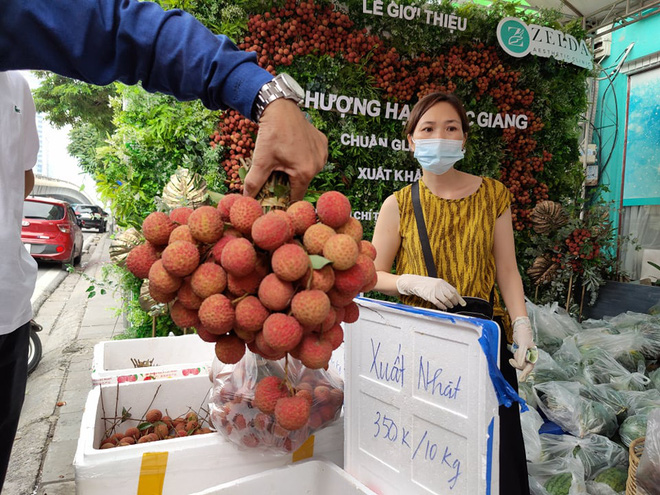 Pha sáng tạo đi vào lòng người: Thanh niên đi rước dâu bằng xe hoa vải thiều gây sốt MXH, sự thật là gì? - Ảnh 3.