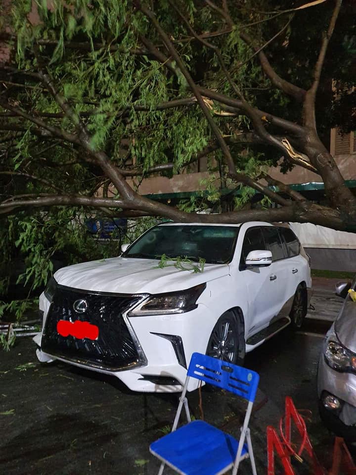 Hy hữu màn đỡ cây đổ đầy xót xa trong đêm mưa lớn tại Hà Nội: Lexus LX 570 giá chục tỷ bẹp rúm nóc xe - Ảnh 1.