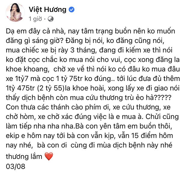 Giao xe cứu thương 2,55 tỷ cho ông Đoàn Ngọc Hải, NS Việt Hương phải lên tiếng cực căng vì bị chỉ trích nặng nề - Ảnh 2.