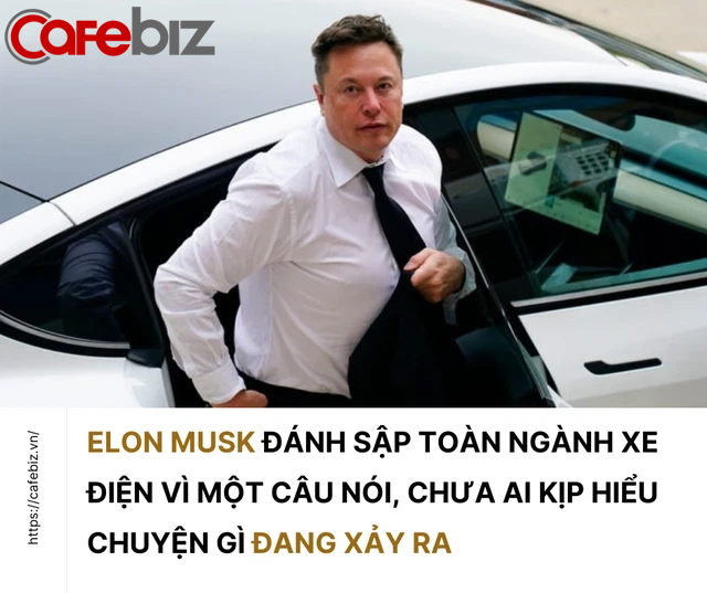 Elon Musk đánh sập toàn ngành xe điện vì 1 bình luận, nhà đầu tư hoảng loạn bán tháo cổ phiếu, chưa ai kịp hiểu chuyện gì đang xảy ra  - Ảnh 1.