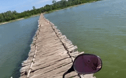  Cô gái lái xe máy qua cây cầu gỗ dài nhất Việt Nam, tất cả nín thở theo dõi - Ảnh 1.