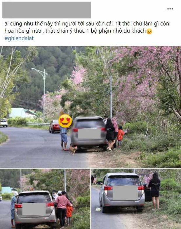 Xuất hiện hình ảnh nhóm khách đi ô tô ở Đà Lạt bẻ đào ven đường để chụp ảnh Tết, dân mạng chỉ trích dữ dội! - Ảnh 1.