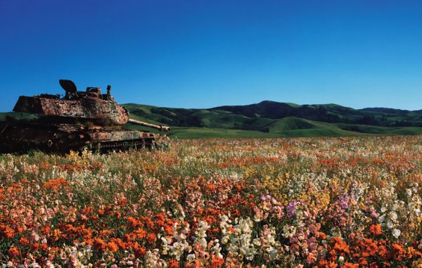 
Chiếc xe tăng M41 Walker Bulldog nằm nghỉ ngơi giữa đồng hoa bạt ngàn và rực rỡ sắc màu.
