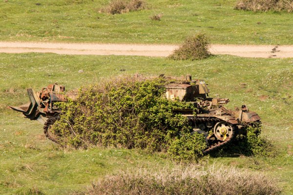 
Tại hạt Dorset, Anh Quốc, chiếc xe tăng dòng Valentine của quân Đồng minh trong Thế chiến II đã gục ngã trước bụi cây nhỏ bé.
